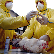 H5N1 Research Controversy: Scientists continue studying the H5N1 virus http://photos.state.gov